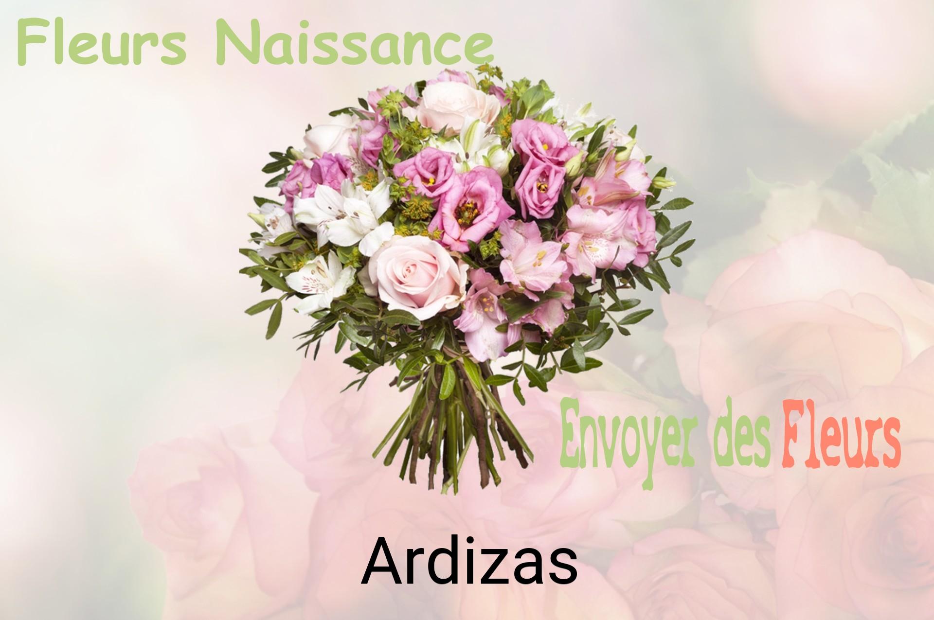 Bouquet de fleurs de naissance livré à Ardizas